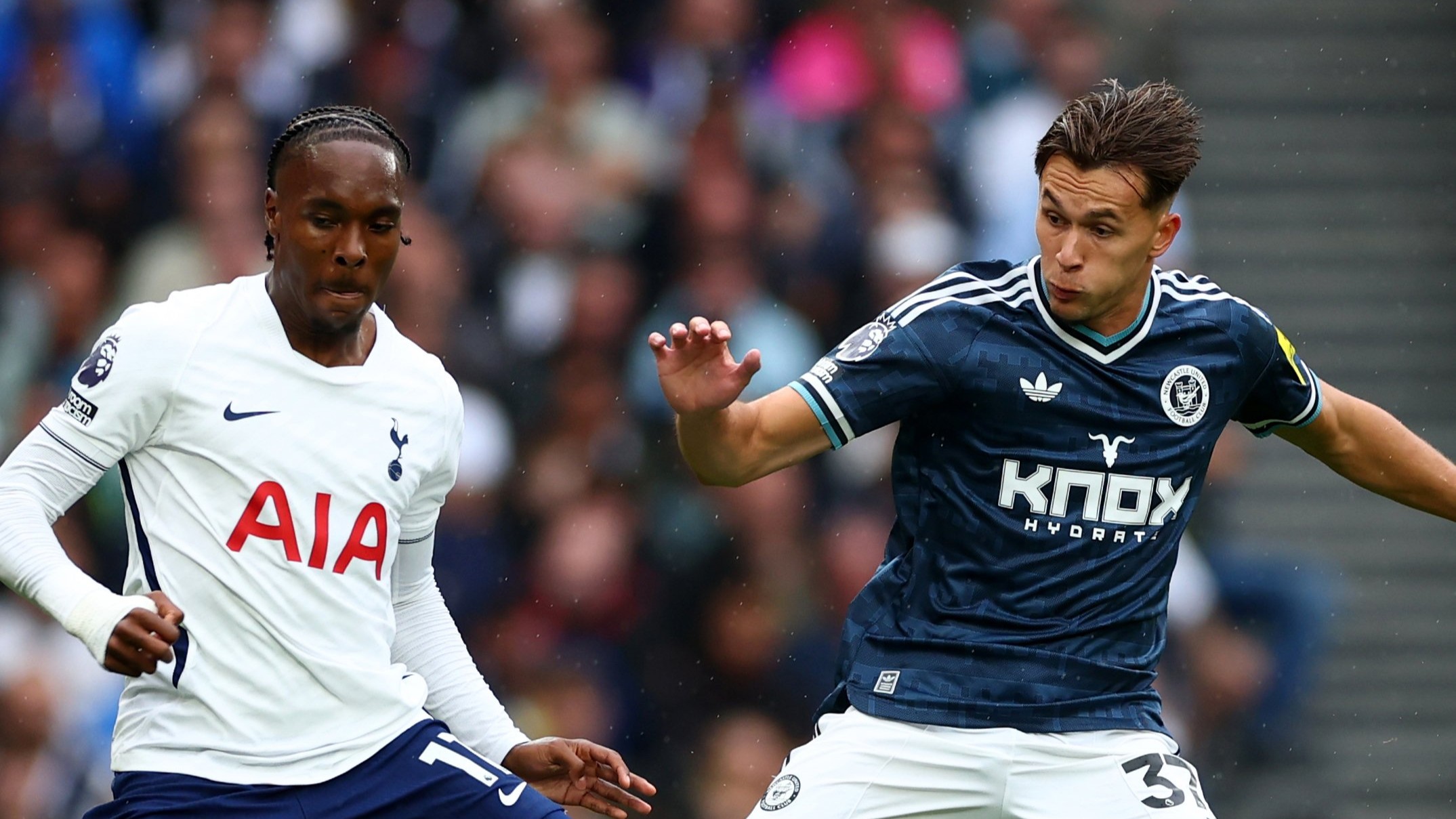 Dedić ponovo blista: Nova asistencija bh. reprezentativca za Newcastle!